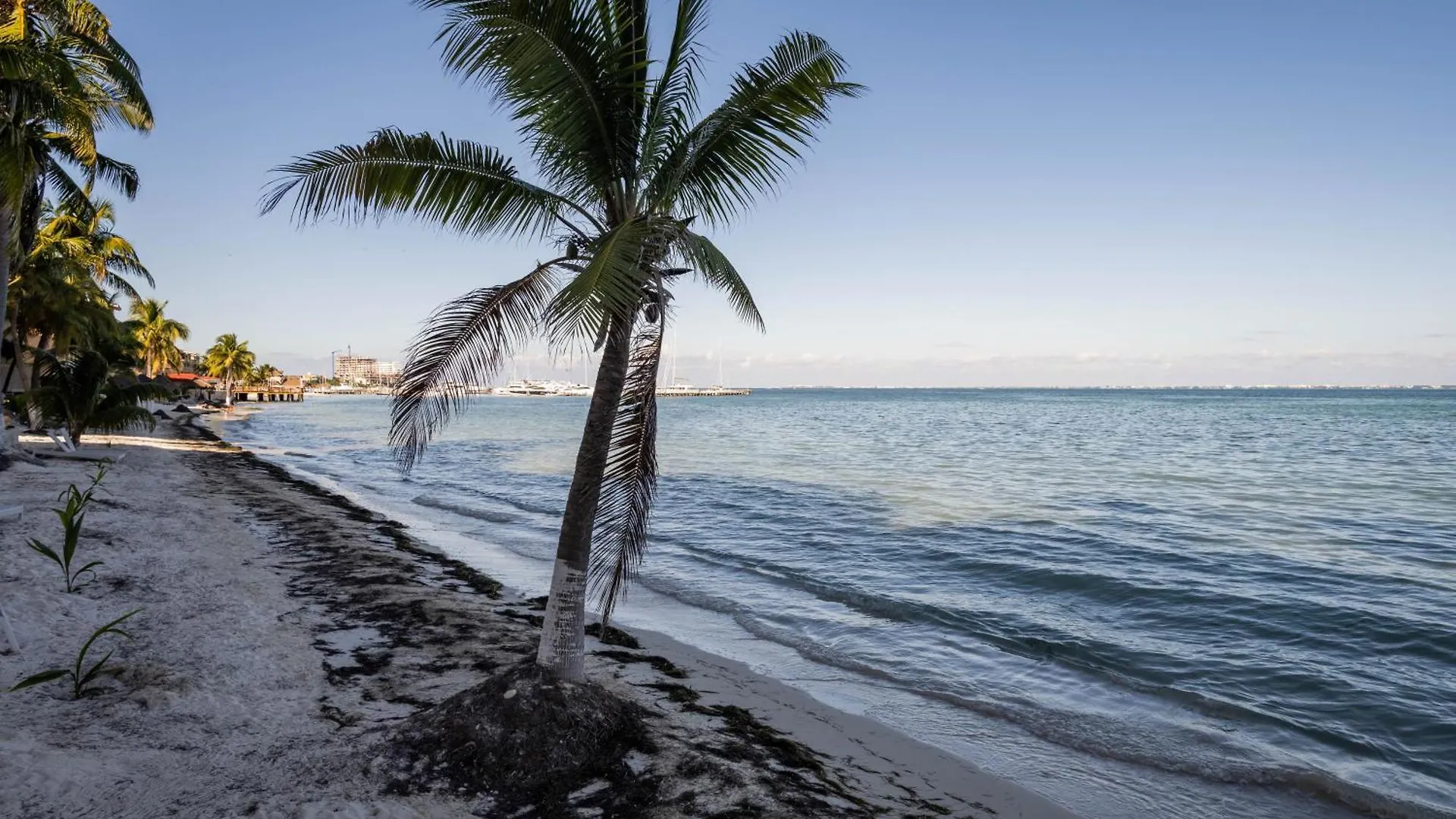 Beachfront Con Magnifica Vista Cancun Apartment