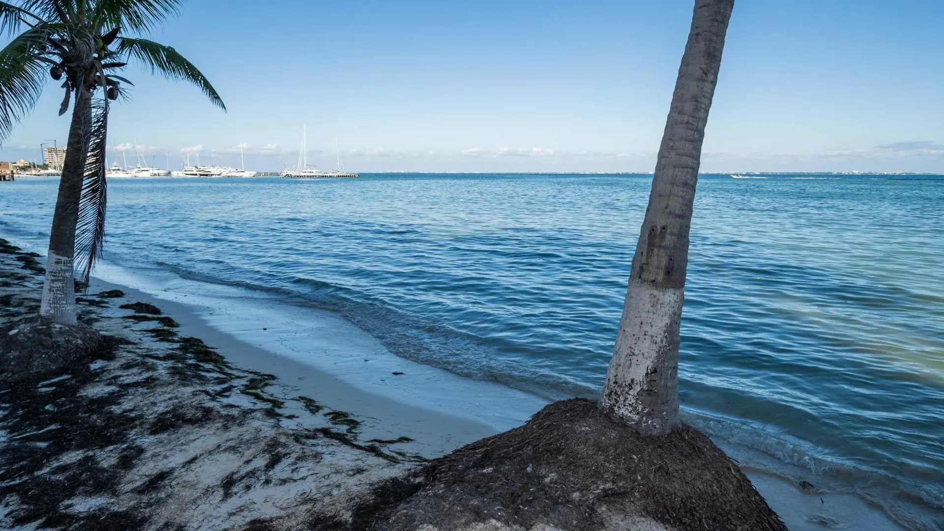 Apartmán Beachfront Con Magnifica Vista Cancún